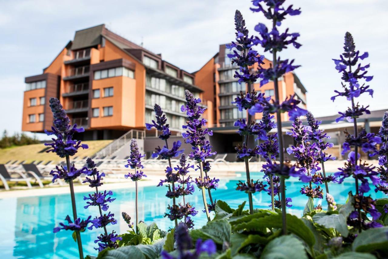 Hotel Mercure Vanagupe &